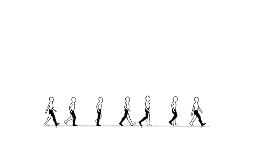 Décomposition des différents mouvements qui constituent la marche. On observe que c'est l'ensemble du corps qui est en mouvement et ses différents constituants modifient leur positionnement à chaque étape de la marche.