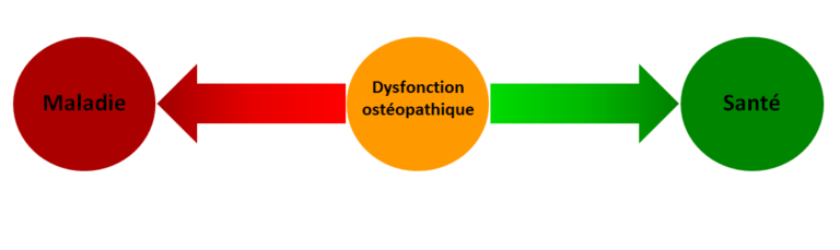 La dysfonction ostéopathique se situe à mi-distance entre la pleine santé et la maladie. Le corps peut aller dans une direction comme dans l'autre et l'ostéopathe l'aide à retrouver le chemin de la santé.